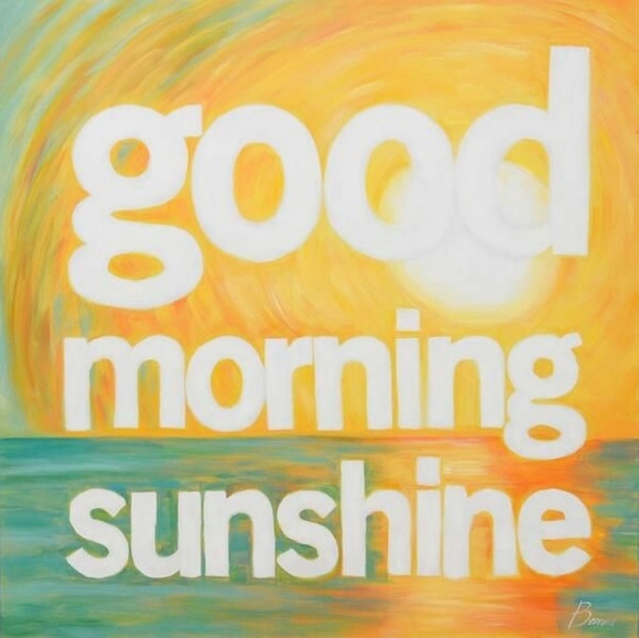 New➕StylizedPre-Owned Items, Quality & Real - Picture 1 of 3